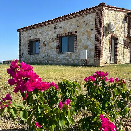 Zeytince Doga Evi * فوكا
