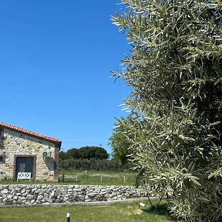 Zeytince Doga Evi Habitación en casa particular *